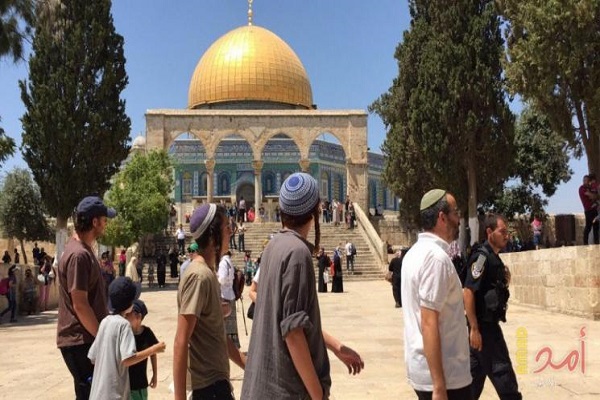 86 مستوطناً يقتحمون المسجد الأقصى في حراسة الاحتلال الإسرائيلي