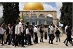 Mehr als 58.000 Siedler stürmten in einem Jahr die Al-Aqsa-Moschee