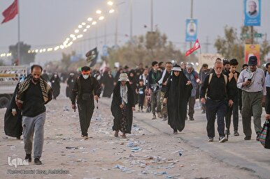 Online Platform Launches Free Housing Reservation Service for Arbaeen Pilgrims in Iraq
