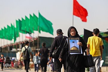 In Photos: Pilgrims March to Mashhad to Visit Imam Reza Holy Shrine 