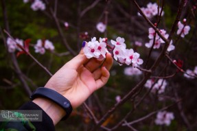 عکس‌های منتخب ایکنا اصفهان در نوروز 96