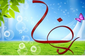 نام‌گذاری بیش از  200 نفر با نام رضا و مشتق‌های آن در خراسان‌جنوبی