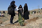 آئین روز درختکاری در البرز