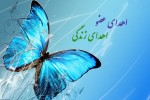 قرآن، موافق اهدای عضو و نجات زندگی است