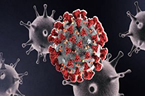 فیلم | از کرونا ویروس‌ها چه می‌دانید؟