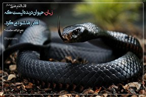 حدیث‌نگاشت/ درندگی زبان