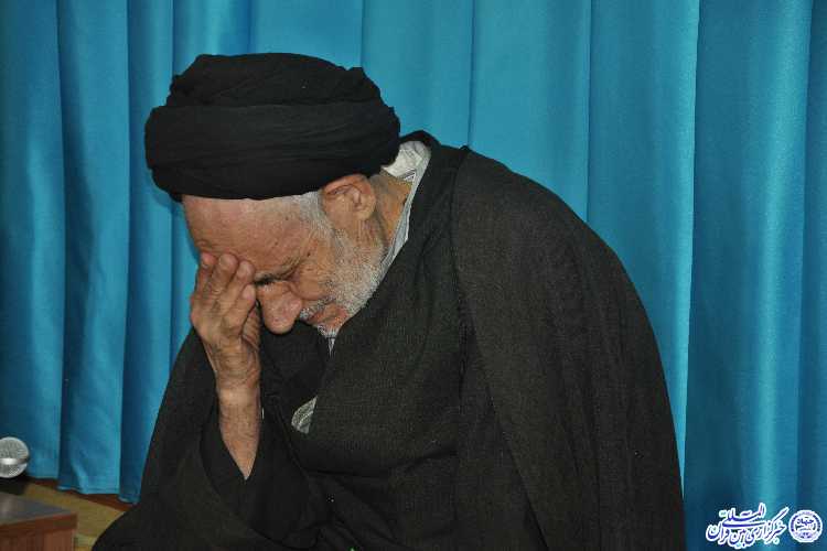 دیدار دست اندرکاران همایش شیرخوارگان حسینی با آیت&zwnj;الله عبادی