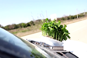 فیلم | واقعیت تلخ رفتن به 13 بدر امسال