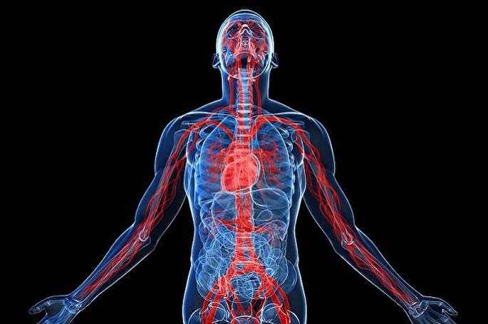 فیلم | خدا را در وجود خودتان ببینید