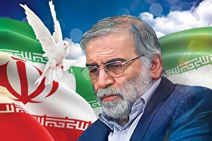 تأکید ۱۰ هزار استاد دانشگاه آزاد بر مجازات عاملان ترور شهید فخری‌زاده