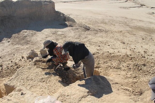 ۵ هزار سال قدمت ابزارسازی در دشت جنوبی سیستان