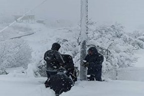 فیلم | تلاش بی‌مثال اکیپ‌های اجرایی و عملیاتی شرکت برق کردستان