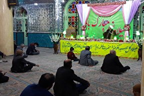 عکس | جشن میلاد حضرت زهرا(س) در شهرستان انار