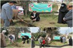 کاشت یک اصله نهال به یاد شهید سلیمانی در آزادشهر