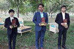اعلام برگزیدگان مسابقه «نسیم وحی» در زنجان