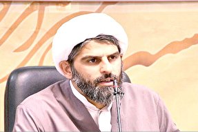 جایگاه امام رضا(ع) و حضرت معصومه(س) در شکل‌گیری جریان شیعی تبیین می‌شود