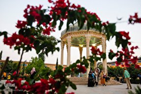 فیلم | بر سر تربت ما چون گذری همت خواه