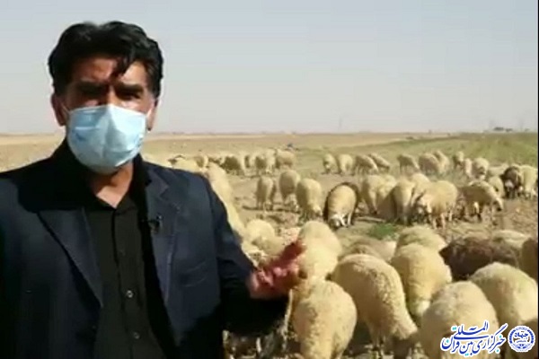 شرکتی که با همت جمعی روستاییان پا گرفت