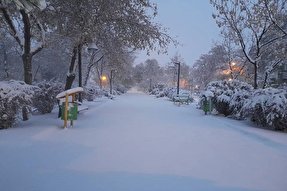 عکس | بارش نخستین برف پاییزی در کردستان