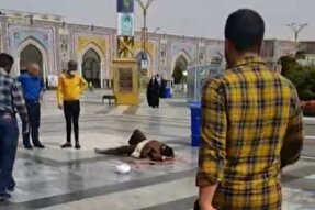 علمای اهل سنت گلستان حادثه حرم مطهر رضوی را محکوم کردند