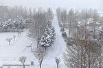بارش برف در همدان‎‎