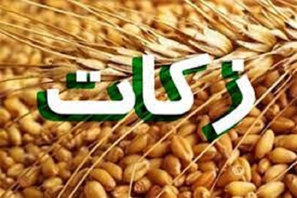 جشنواره علمی، فرهنگی، ادبی و ترویجی زکات در ایلام برگزار می‌شود