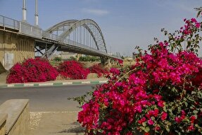 وقتی کارون در گلستانی از گل‌های کاغذی می‌نشیند