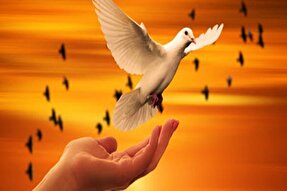 جوان چرامی از چوبه دار رهایی یافت