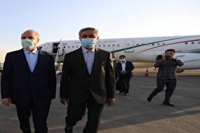 رئیس مجلس شورای اسلامی وارد همدان شد