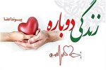 اهدای اعضای جوان کهگیلویه‌وبویراحمدی به بیماران نیازمند