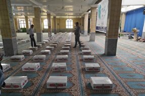 اجرای طرح «نذر قربانی» در کهگیلویه‌وبویراحمد