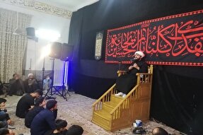 پیاده‌روی اربعین حسینی نماد وحدت مسلمانان جهان است