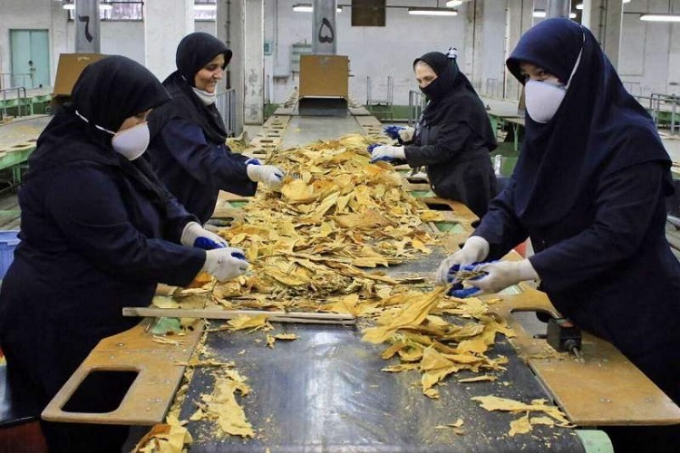 اجرای ۹۰ طرح اشتغال‌زایی برای زنان و دختران چرامی