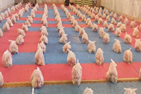 توزیع بسته‌های یلدایی بین نیازمندان در یاسوج