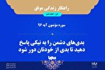 طرح | پاسخ بدی با خوبی