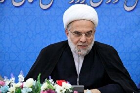 شهید صیاد شیرازی نمونه کامل اخلاص و شجاعت بود