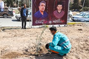 عکس | کاشت نهال به یاد شهدای حادثه تروریستی کرمان