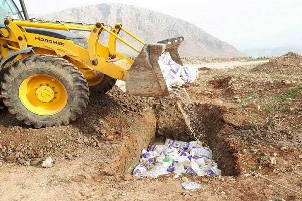 ۲۵۰ کیلوگرم خرچنگ و آبزیان حرام گوشت در زاهدان معدوم‌سازی شد