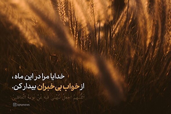 طرح | بیدارم کن از خواب بی‌خبران