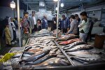 عکس | بازار ماهی شهرک شهید بهشتی مشهد در آستانه سال نو