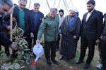 کاشت ۵ میلیون اصله نهال در پویش هم‌عهدی سبز با حاج قاسم