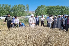 پرداخت ۱۳ میلیارد تومان زکات در خراسان‌شمالی