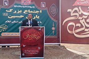 فعالیت بیش از ۵۰۰ موکب در استان ایلام