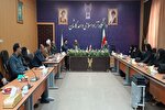 فردخت ظرفیت جهانی شدن دارد