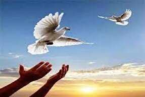 آزادی ۵۱۲ زندانی در کهگیلویه‌وبویراحمد