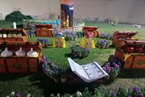 عکس | المان‌های نوروزی ۱۴۰۳ در کرمان