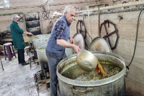 حضور ۳۵ خادم و خادمیار رضوی در کرمان