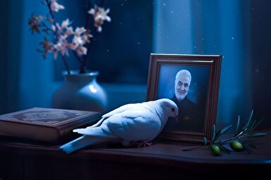 طرح | صلح به جهادت پناه آورده