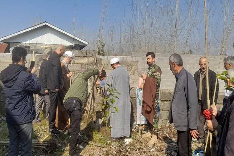۲۰۰ اصله صنوبر در بقعه سیدعلی کیا آستانه اشرفیه غرس شد