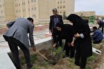 عکس | کاشت 220 اصله نهال به یاد 22 شهید خانواده دانشگاه زابل